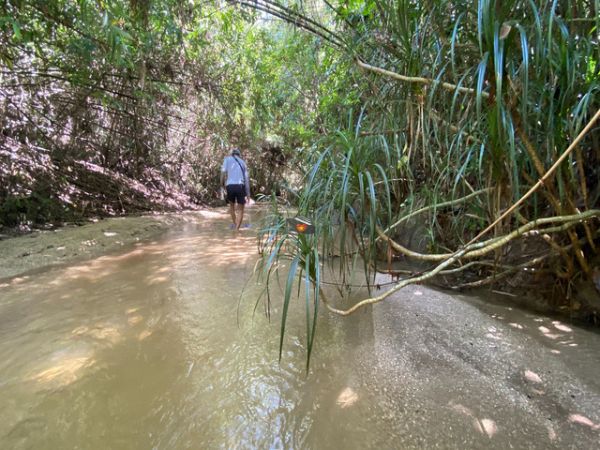 Private Day Tour Living In The Natural Nha Trang